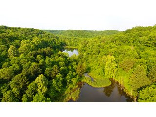 Property photo 75 - LAND AUCTION - 1,050+/- ACRES OFFERED IN 21 TRACTS PLUS 450+/- ACRE HUNTING LEASE IN MUSKINGUM COUNTY, OHIO